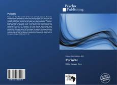 Buchcover von Perizzite