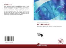 Portada del libro de 6429 Brancusi