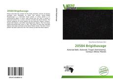 Bookcover of 20584 Brigidsavage