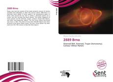 Capa do livro de 2889 Brno 