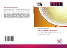 Borítókép a  11229 Brookebowers - hoz