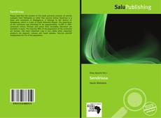 Bookcover of Sendrisoa