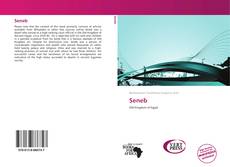 Bookcover of Seneb