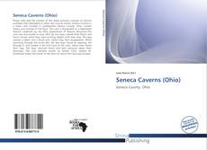 Copertina di Seneca Caverns (Ohio)