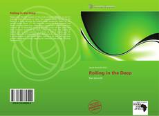 Capa do livro de Rolling in the Deep 