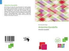 Capa do livro de Antonino Gandolfo 