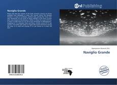 Portada del libro de Naviglio Grande