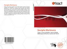 Bookcover of Naviglio Martesana