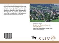 Bookcover of Brzezina, Greater Poland Voivodeship