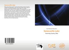 Copertina di Senecaville Lake