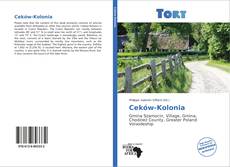 Borítókép a  Ceków-Kolonia - hoz