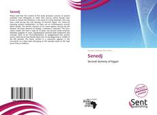 Capa do livro de Senedj 