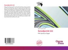 Bookcover of Senedjemib Inti