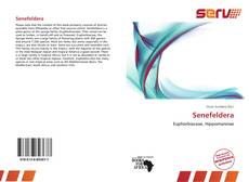 Bookcover of Senefeldera