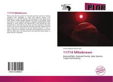 Bookcover of 11714 Mikebrown