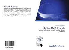 Capa do livro de Spring Bluff, Georgia 