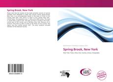 Bookcover of Spring Brook, New York