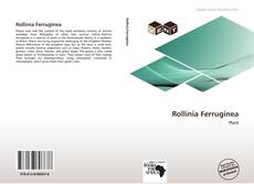 Обложка Rollinia Ferruginea