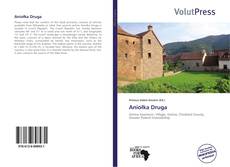 Couverture de Aniołka Druga