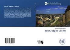 Portada del libro de Borek, Kępno County