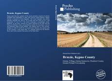 Buchcover von Brzezie, Kępno County