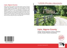 Capa do livro de Lipie, Kępno County 