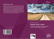 Bookcover of Babiak, Koło County