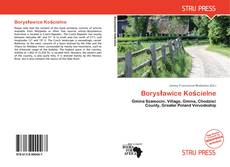 Bookcover of Borysławice Kościelne