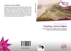 Portada del libro de Krzykosy, Gmina Dąbie