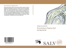 Capa do livro de Pernambuco Pygmy Owl 