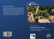 Buchcover von Kamień, Koło County