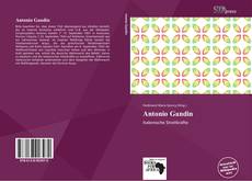 Portada del libro de Antonio Gandin