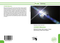 Portada del libro de 22583 Metzler