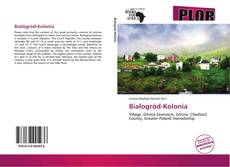 Bookcover of Białogród-Kolonia