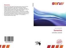 Bookcover of Senesino