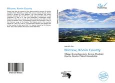 Bookcover of Bilczew, Konin County