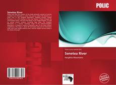 Bookcover of Senetea River