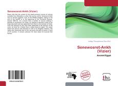 Senewosret-Ankh (Vizier) kitap kapağı