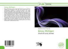 Portada del libro de Seney, Michigan