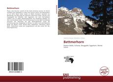 Borítókép a  Bettmerhorn - hoz