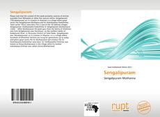 Buchcover von Sengalipuram