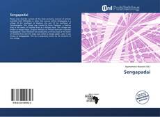 Portada del libro de Sengapadai