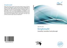 Capa do livro de Senghenydd 