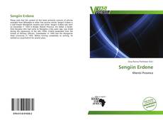 Buchcover von Sengiin Erdene