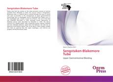 Bookcover of Sengstaken-Blakemore Tube