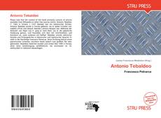 Couverture de Antonio Tebaldeo