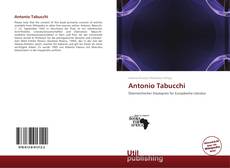 Antonio Tabucchi kitap kapağı