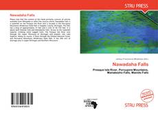 Bookcover of Nawadaha Falls