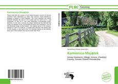 Buchcover von Kamienica-Majątek