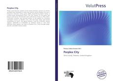 Couverture de Perplex City